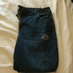 Lane bryant skinny jeans